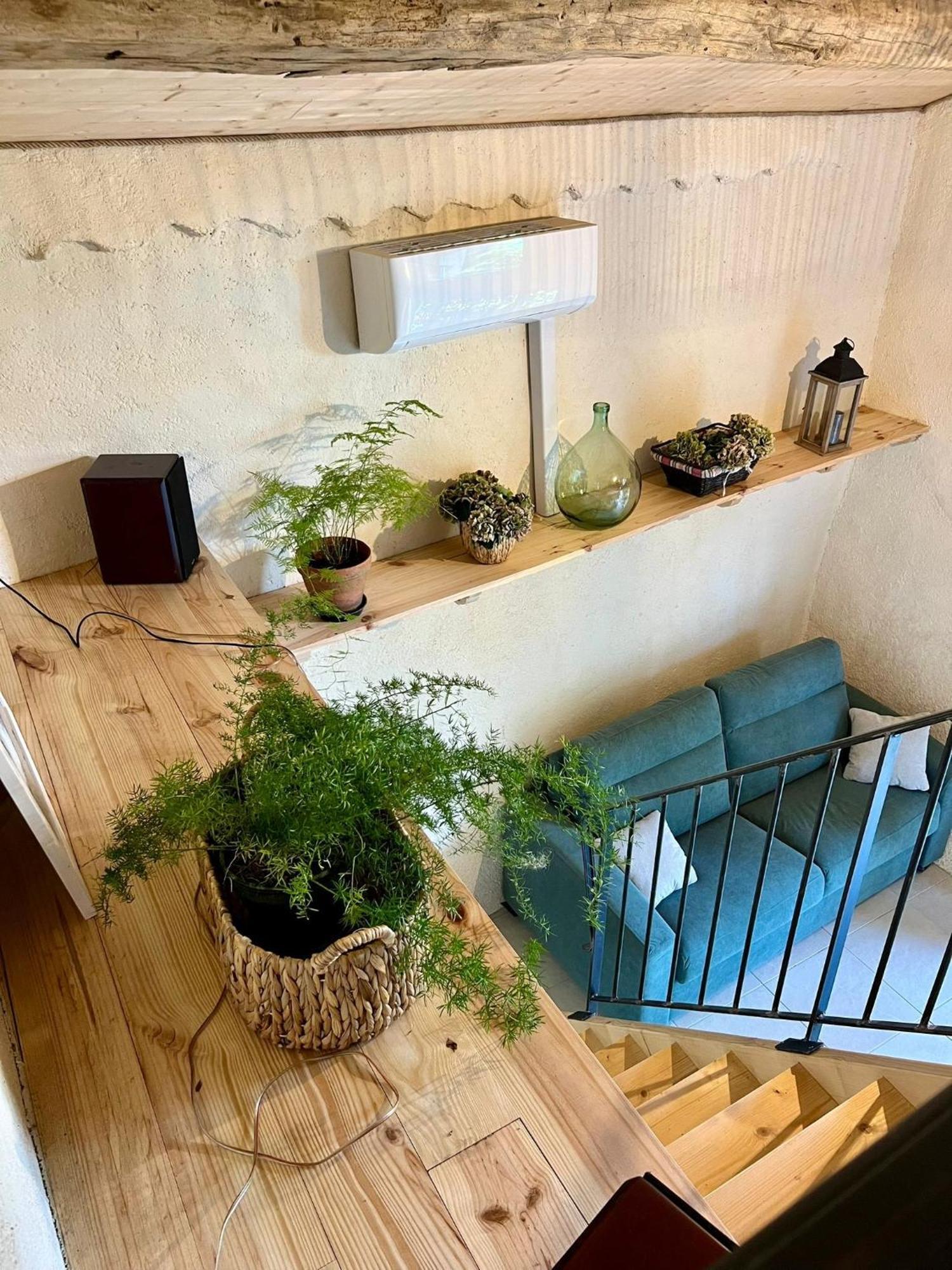 La Chambre Du Cantou Lautrec Экстерьер фото